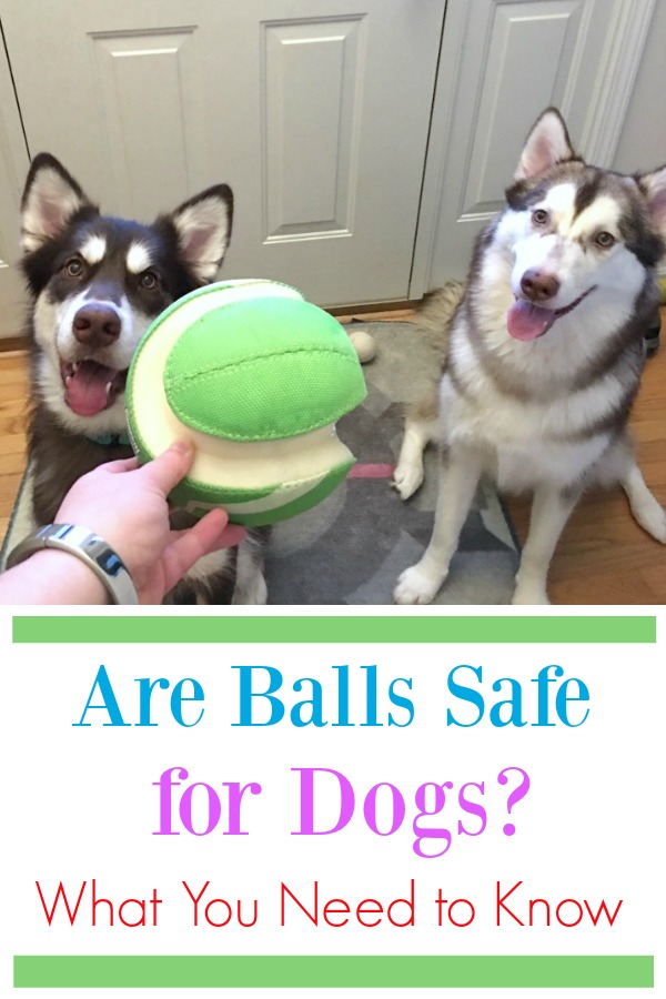 are rubber balls safe for dogs