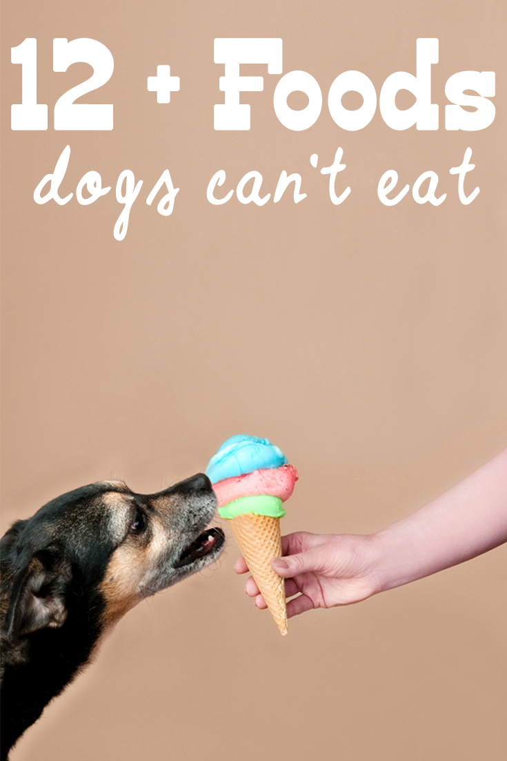 http://www.budgetearth.com/wp-content/uploads/2017/11/foods-dogs-cant-eat.png