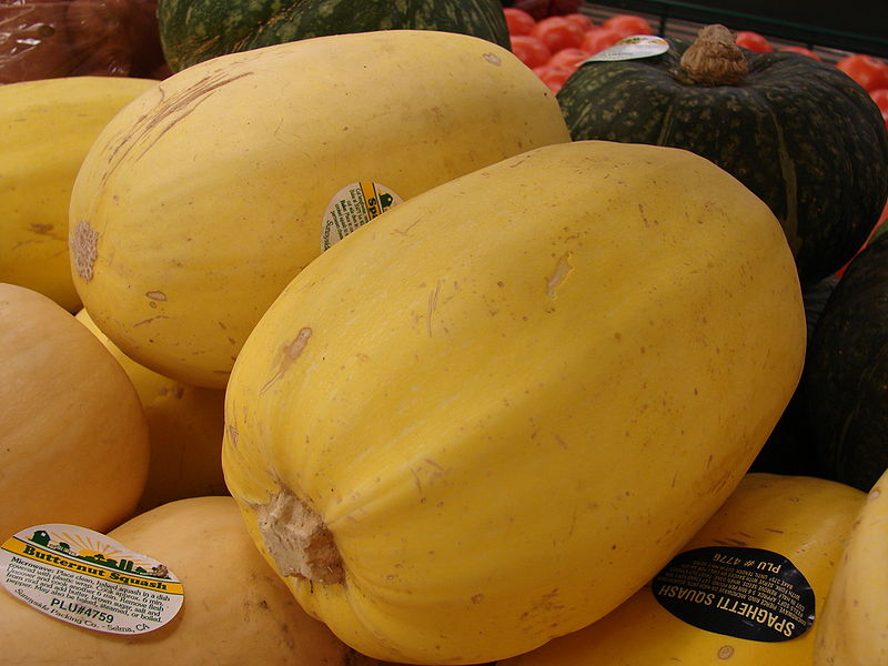 Types of Squash | Budget Earth