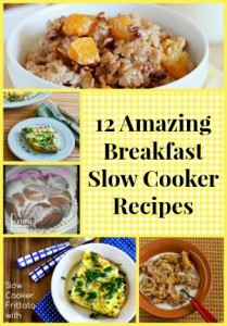 12 Amazing Slow Cooker Recipes | Budget Earth