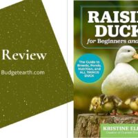 book cover for Raising Ducks for Beginners and Beyond