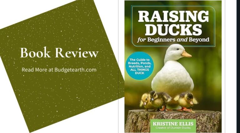 Raising Ducks for Beginners & Beyond Review | Budget Earth