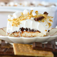 picture of s'more lush dessert