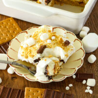 picture of s'more lush dessert