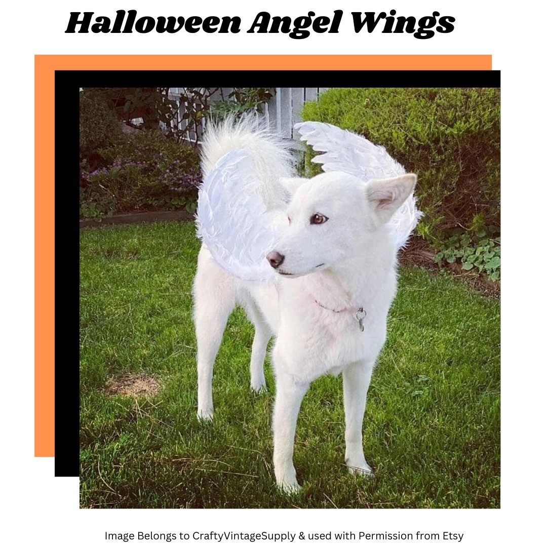 picture of angel wings as part of an article on best Halloween Costumes for Giant Dogs