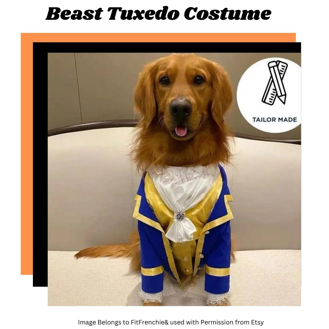 picture of dog tuxedo from Beauty and the Beast as part of an article on best Halloween Costumes for Giant Dogs