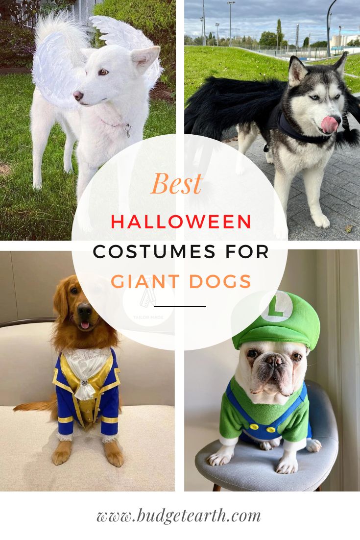 Adorable Halloween costumes for giant dogs handmade and for purchase on Etsy