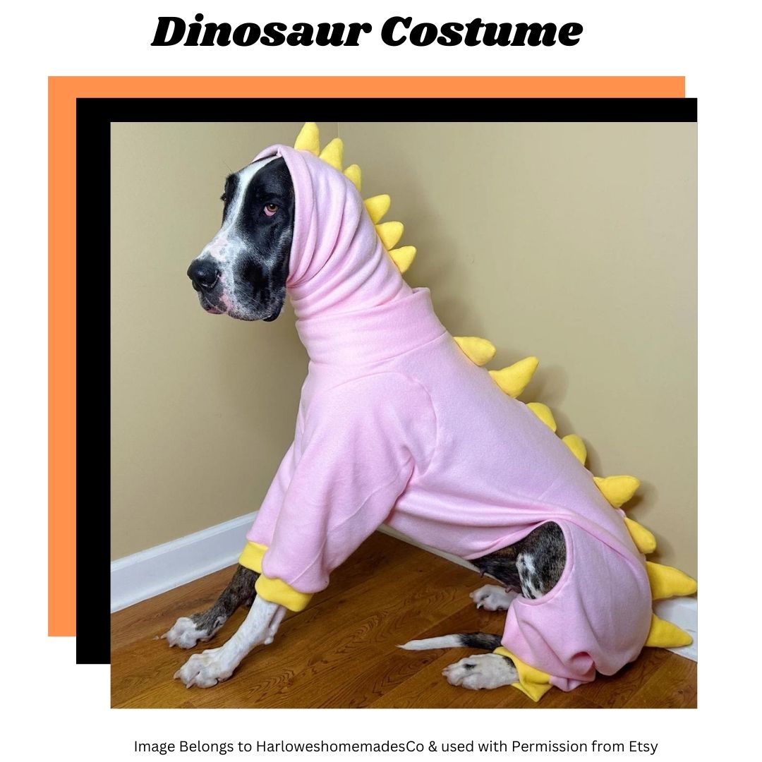 picture of dinosaur pajamas for dogs as part of an article on best Halloween Costumes for Giant Dogs