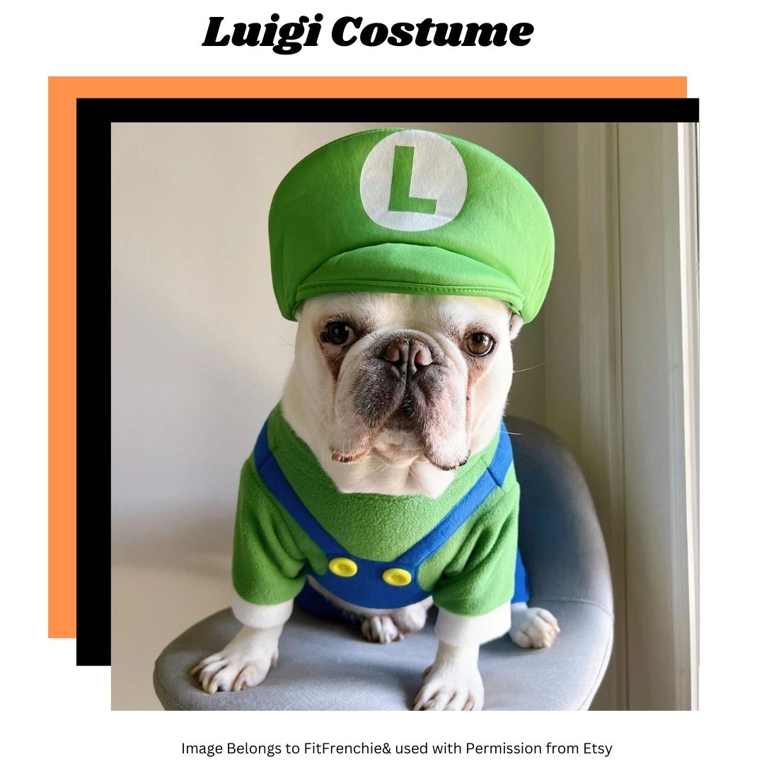 picture of Luigi costume as part of an article on best Halloween Costumes for Giant Dogs