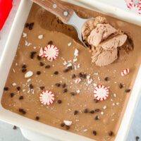 peppermint mocha ice cream recipe in dish