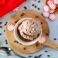 peppermint mocha ice cream recipe in dish