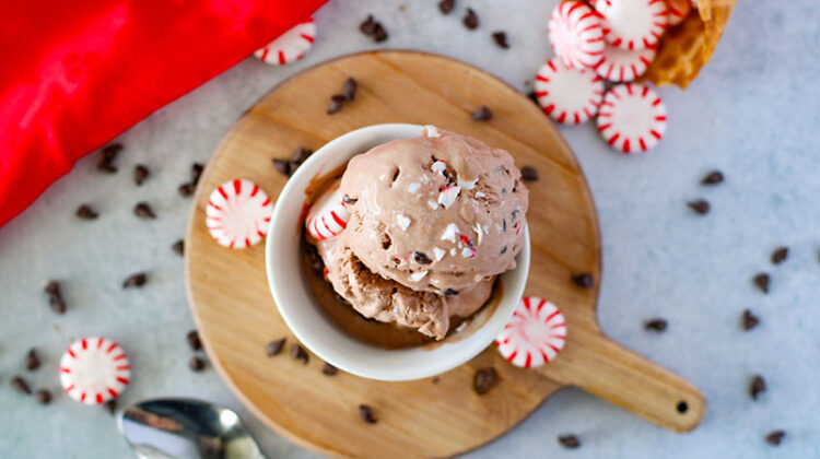 peppermint mocha ice cream recipe in dish