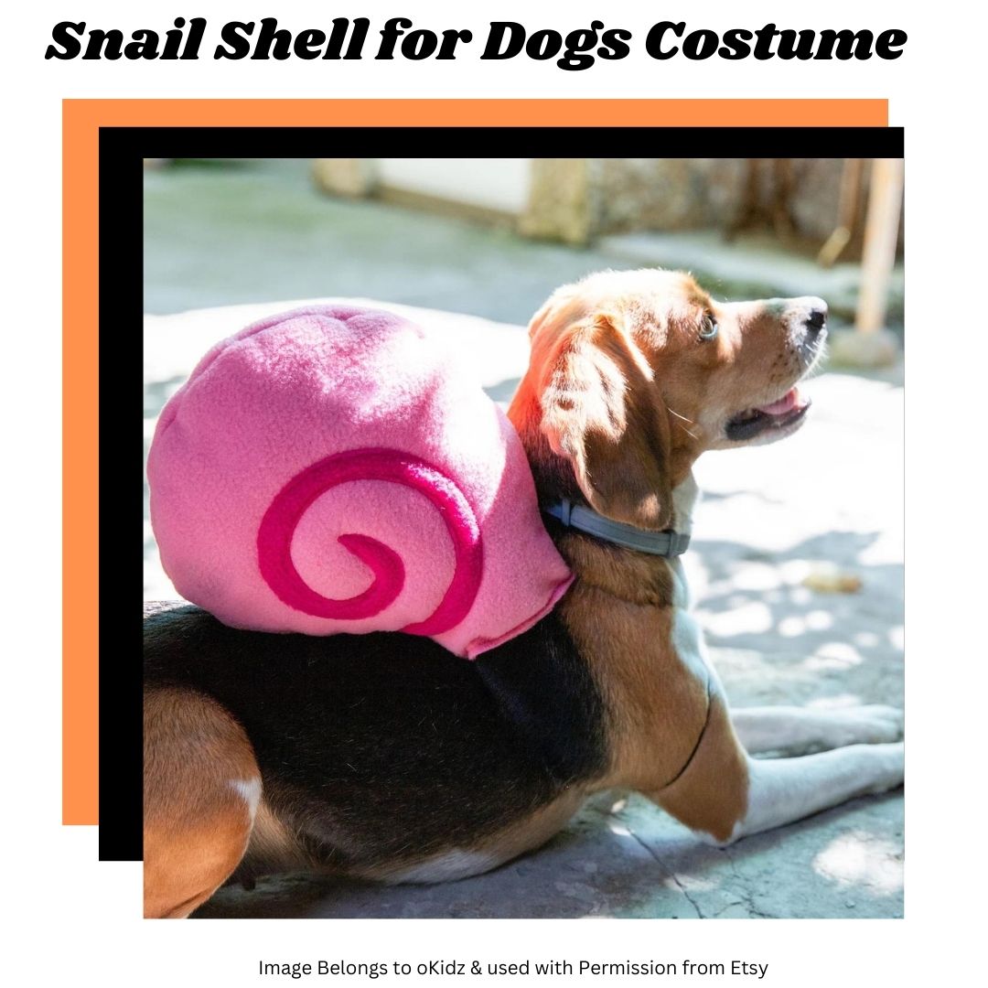 picture of snail shell costume as part of an article on best Halloween Costumes for Giant Dogs