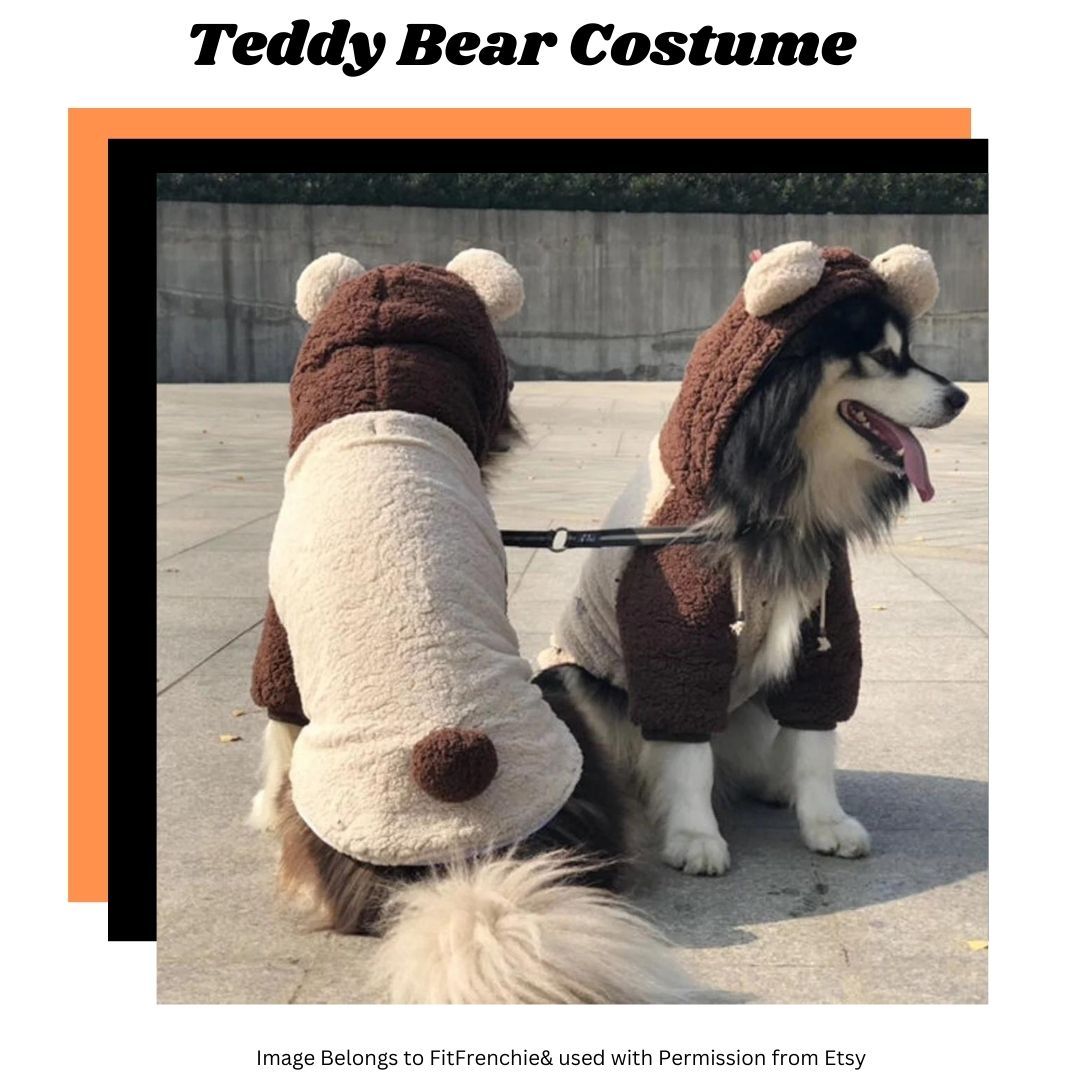 picture of teddy bear costume as part of an article on best Halloween Costumes for Giant Dogs