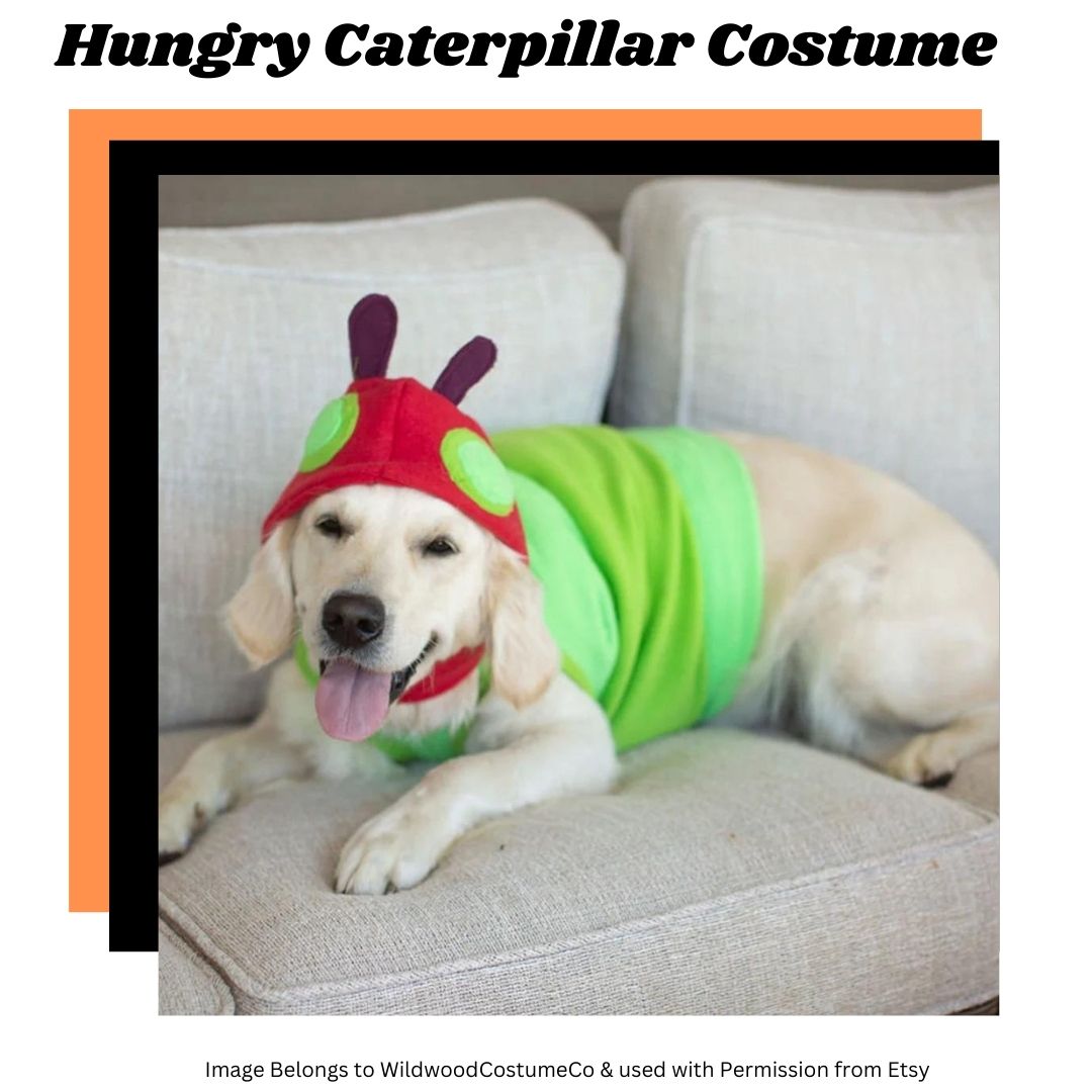 picture of very hungry caterpillar costume as part of an article on best Halloween Costumes for Giant Dogs