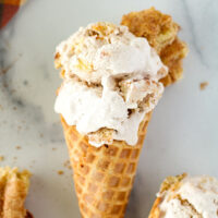 picture of Snickerdoodle Cookie Ice Cream Recipe for no-churn ice cream