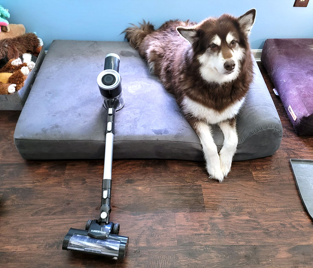 Ivi the red Alaskan malamute sitting next to the Faberware Cordless Pro Stick Vacuum