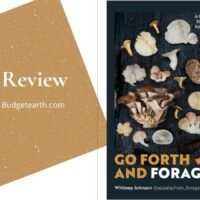 cover of Go Forth and Forage