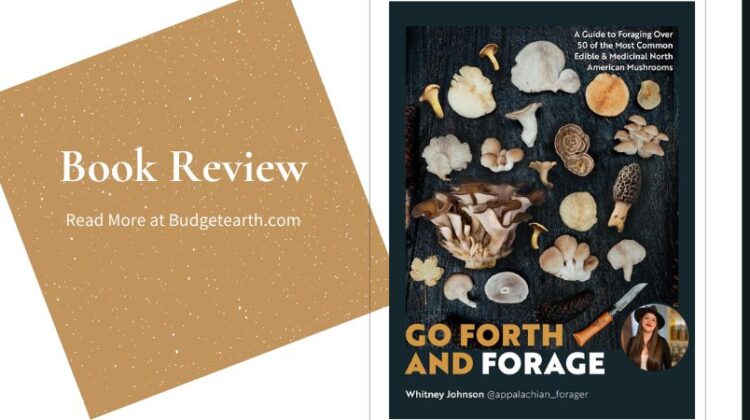 cover of Go Forth and Forage