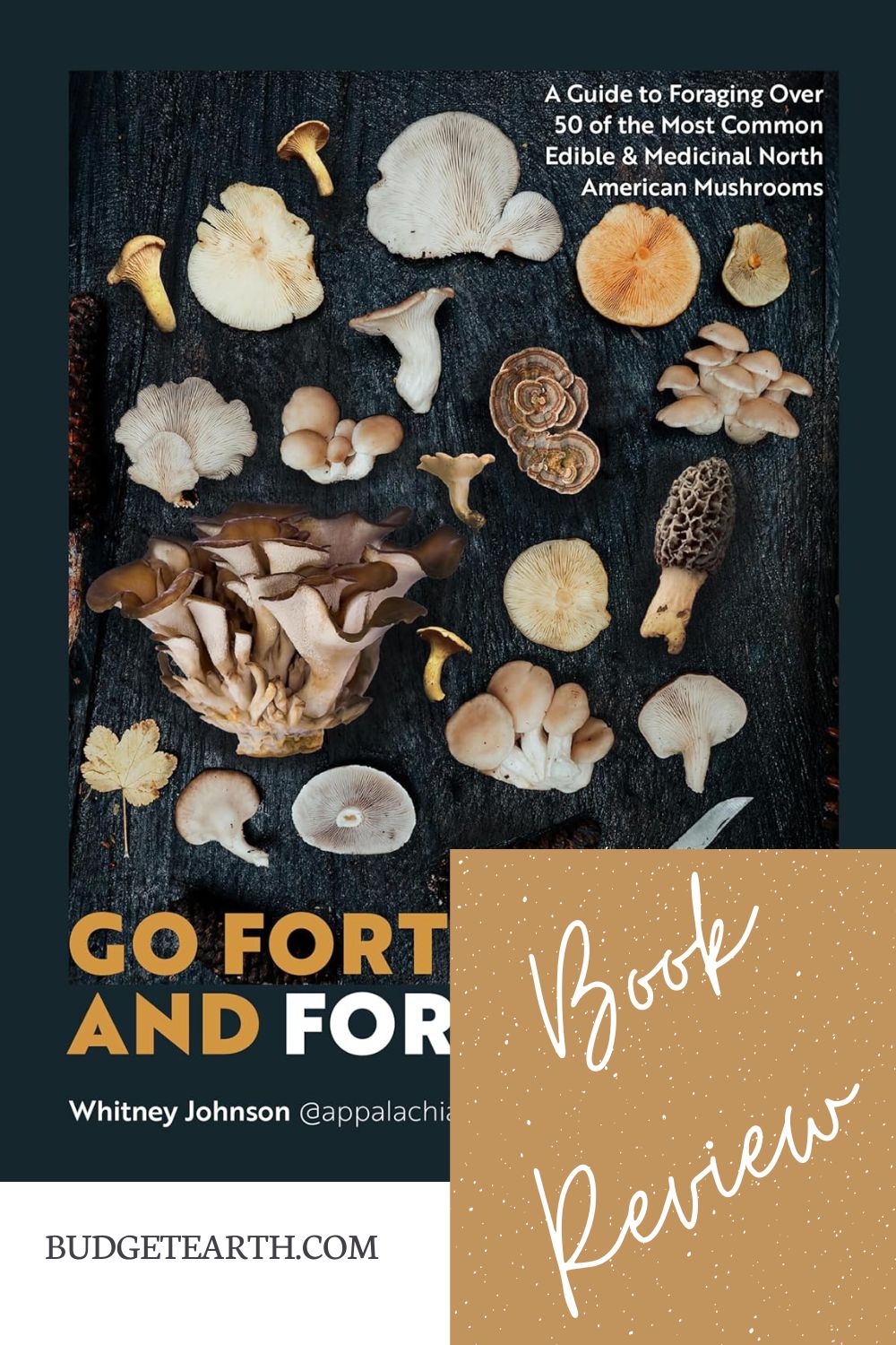 cover of Go Forth and Forage